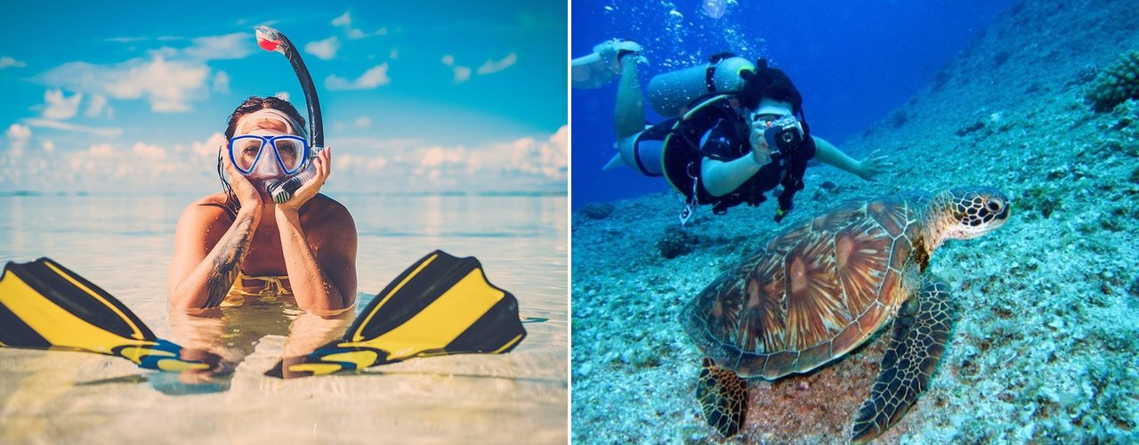 Snorkelling in the shallows and a diver with a sea turtle, Exuma
